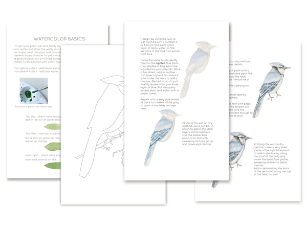 Watercolor Kit - Blue Jay