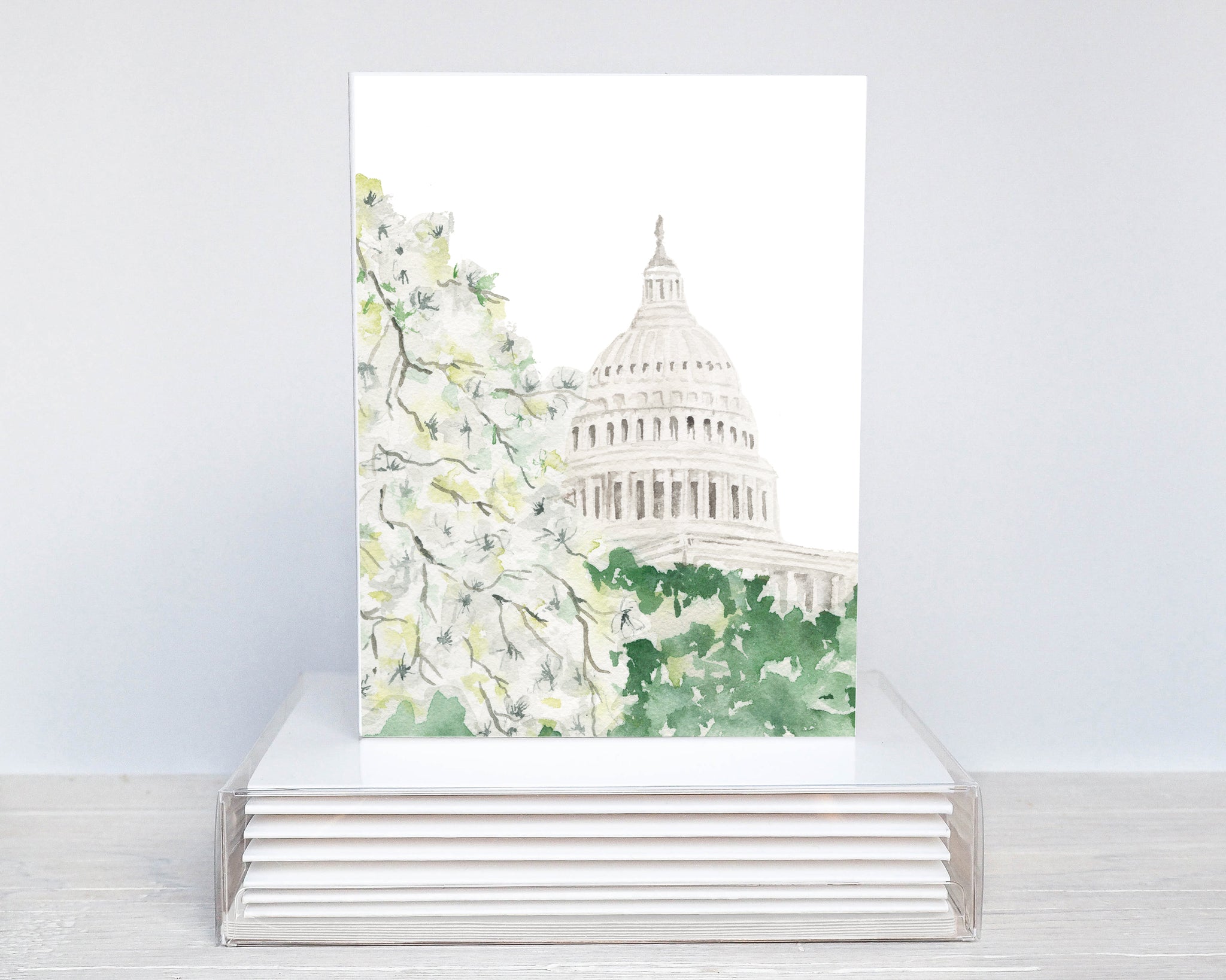 Capitol Dogwood Blossoms - Boxed Cards