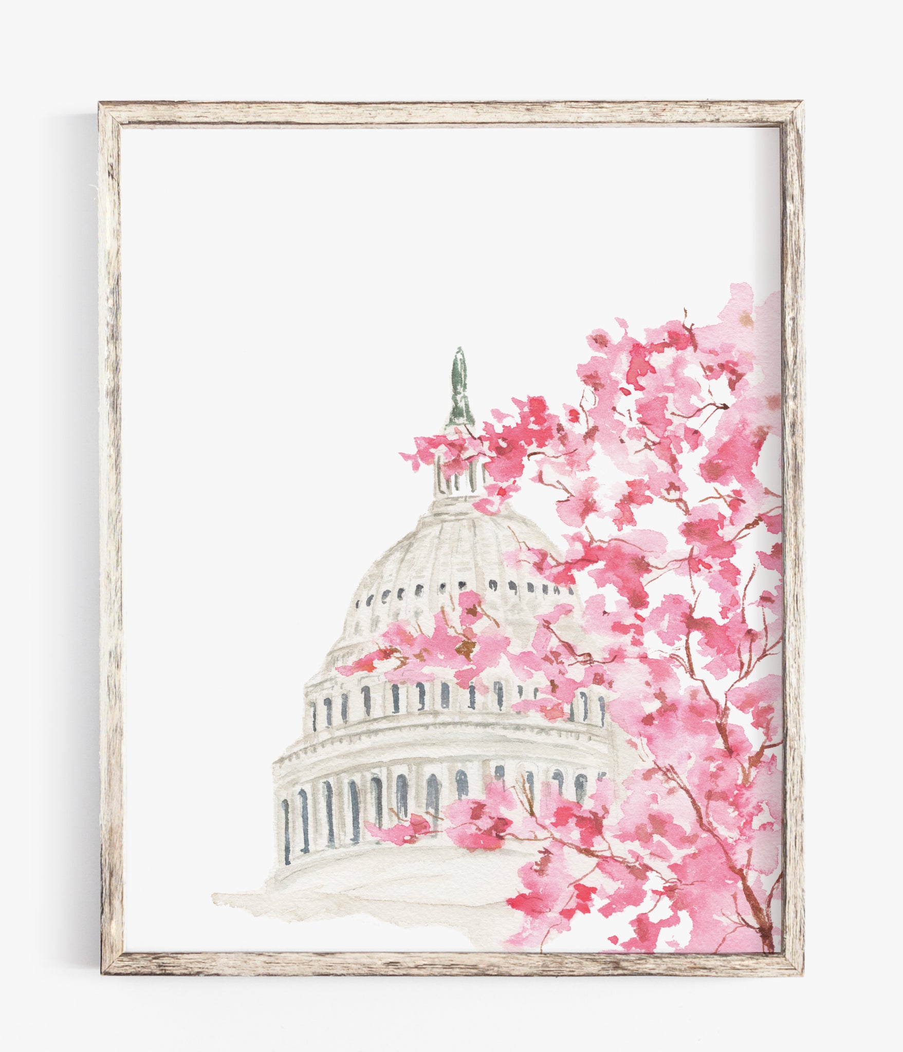 cherry blossoms washington dc watercolor print