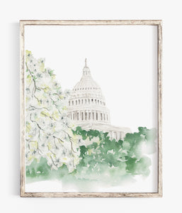 Capitol Building Dogwood Blossoms - Watercolor Print