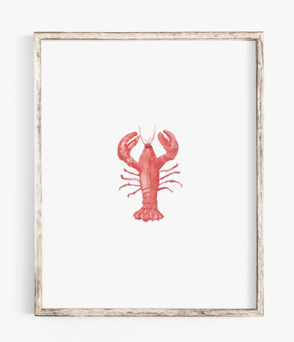 Lobster - Print